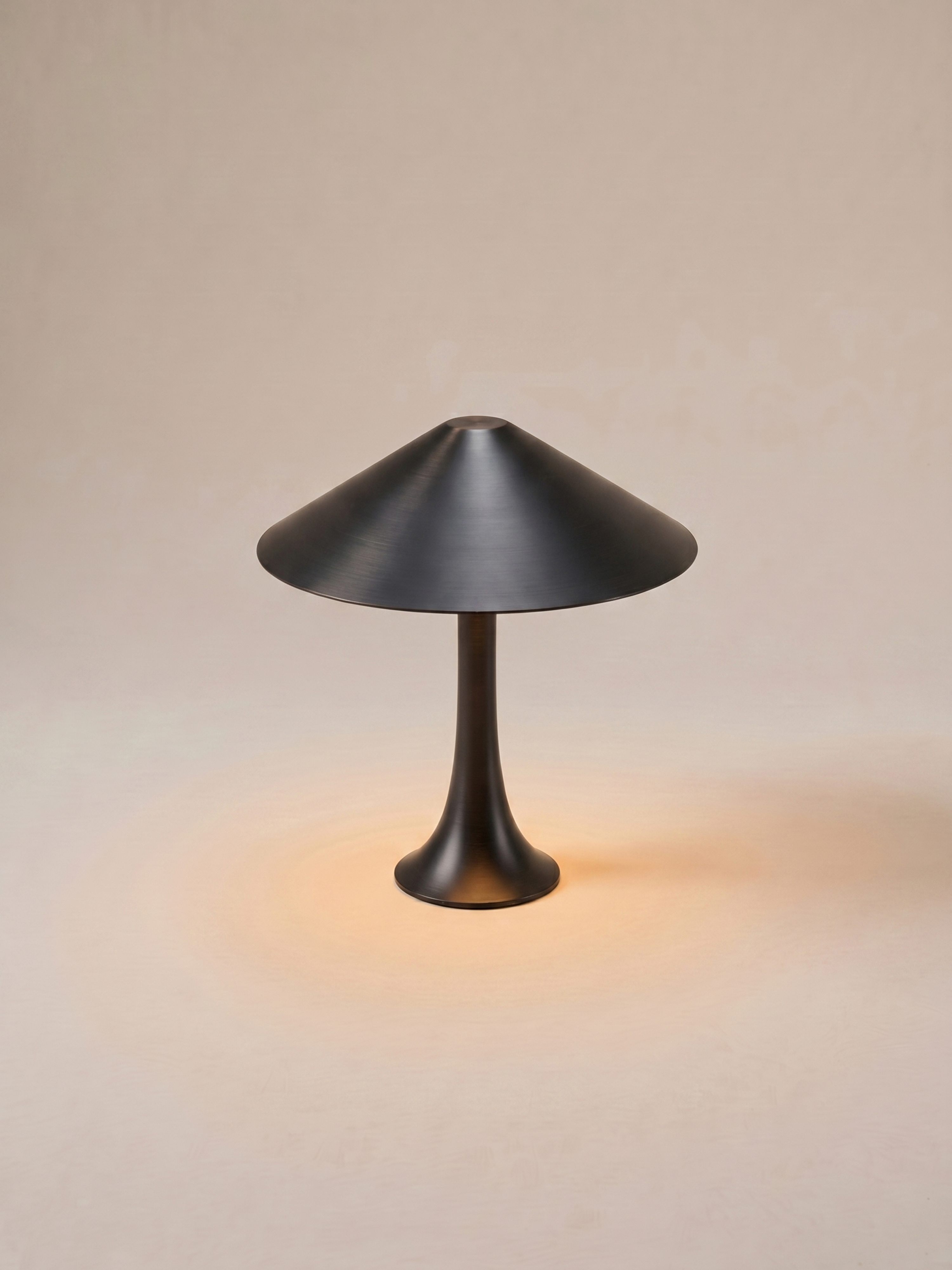 Nova Large Portable Lamp | Black Steel