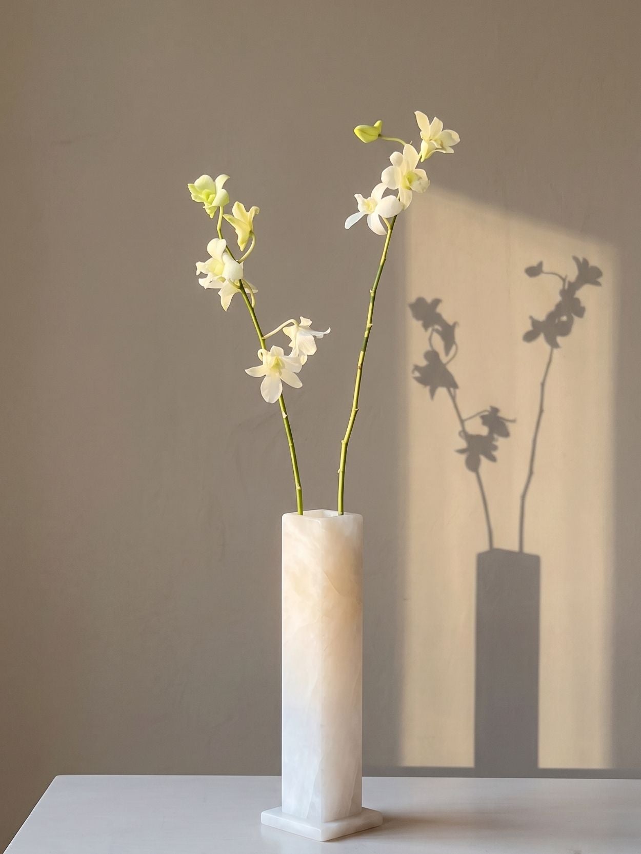 The Eva Vase | Alabaster