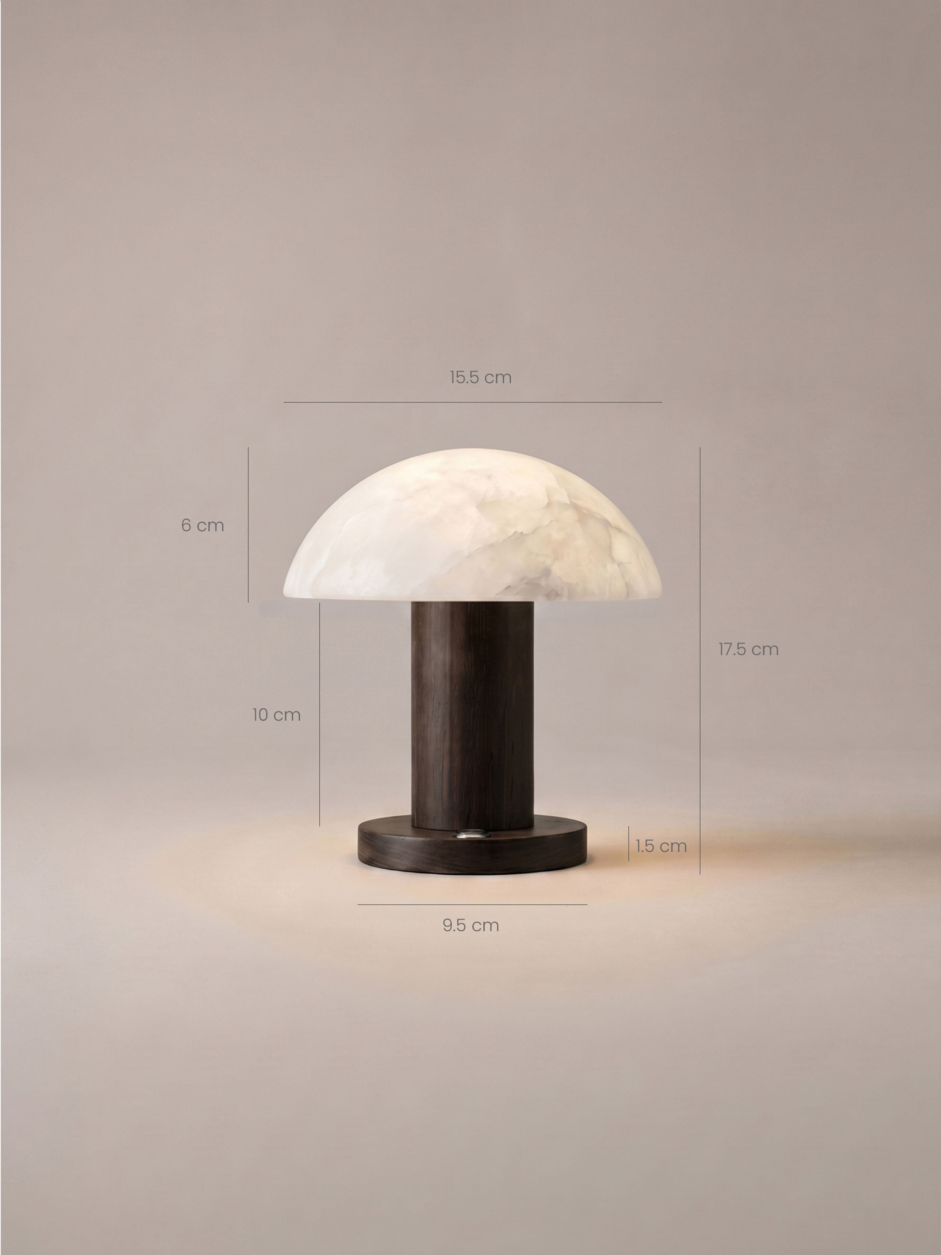 The Portable Alto Lamp | Alabaster & Dark Wood